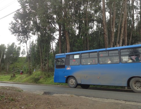 Een blauwe stadsbus net buiten Cuenca Image