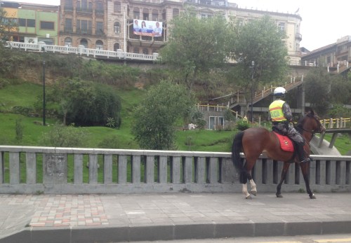 Politie te paard Politie te paard