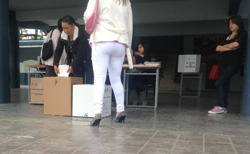 Stemmen in kartonnen doos Stemmen in kartonnen doos