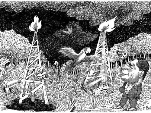 Van pachamamismo naar pachamashismo