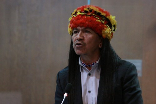 Carlos Veteri, Regeringspartij Allianza País, Antropoloog