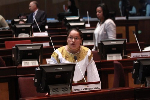 Esthela Acero, Regeringspartij Alianza País