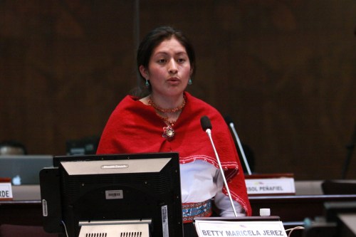 Betty Jérez, Regeringspartij Allianza País, Advocate