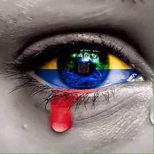 12994512_1182712625073750_1268554568970484901_n